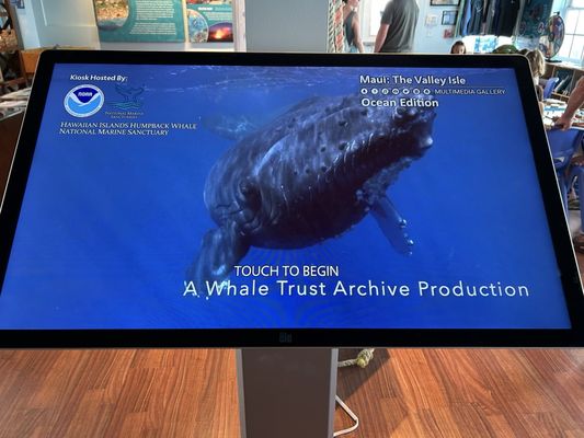Hawaiian Islands Humpback Whale National Marine Sanctuary Visitor Center by null