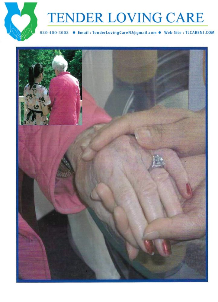 tender-loving-care-updated-july-2025-19-photos-2018-hamburg-tpke