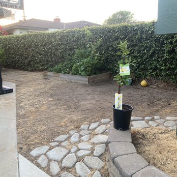 Stays Green Turf - Before - Artificial Turf Near Me Stays Green Turf - Before - Artificial Turf Near Me