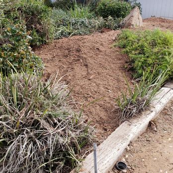 Nova Tree Solutions - All clean! - Tree Services Near Me Nova Tree Solutions - All clean! - Tree Services Near Me