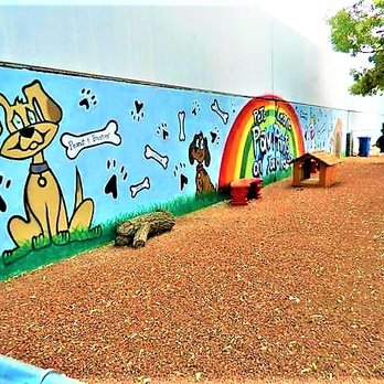 Shadowtree Apartments - CUTE Dog Park - Apartments Near Me - Tucson, Arizona Shadowtree Apartments - CUTE Dog Park - Apartments Near Me - Tucson, Arizona