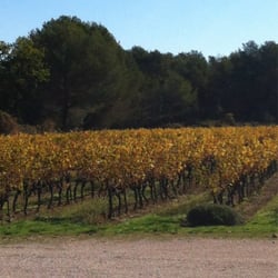 Domaine De Camaïssette