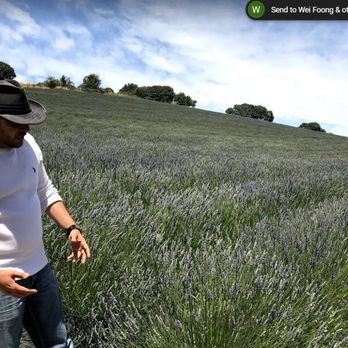 Monte-Bellaria Di California - An educational tour guided by Eric - Farms Near Me - Sebastopol, California Monte-Bellaria Di California - An educational tour guided by Eric - Farms Near Me - Sebastopol, California
