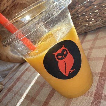 Red Owl Coffee Company - Mango smoothie..and cat. - Breakfast & Brunch Near Me - Chattanooga, Tennessee