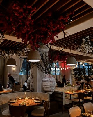Almyra Restaurant by null