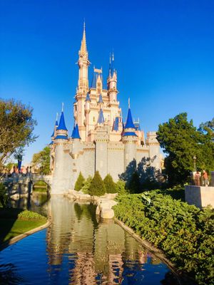 Magic Kingdom Park by null