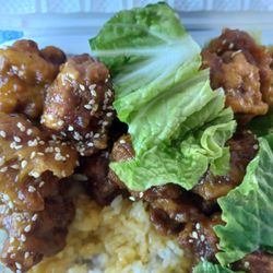 Yum Yum Teriyaki - Orange soggy old chicken