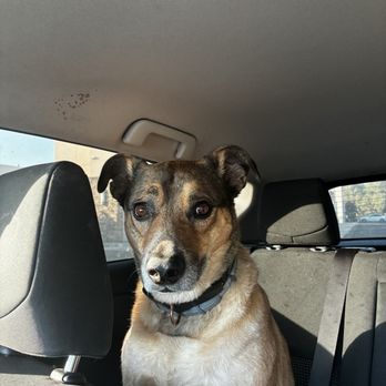 Oaks Pet Hospital - Veterinarians Near Me - Bakersfield, California