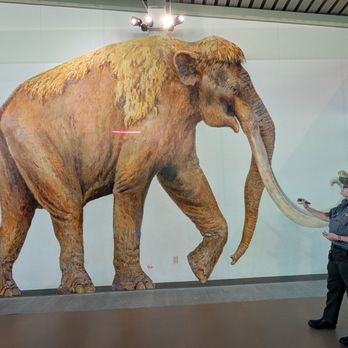 Waco Mammoth National Monument - Museums Near Me - Waco, Texas Waco Mammoth National Monument - Museums Near Me - Waco, Texas