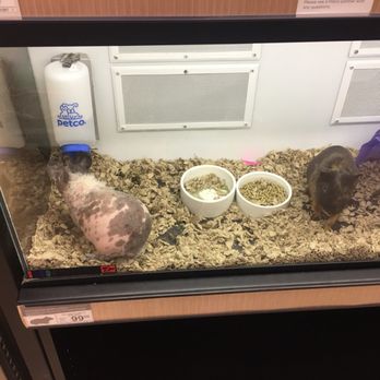 Petco - Pet Stores Near Me - San Jose, California Petco - Pet Stores Near Me - San Jose, California