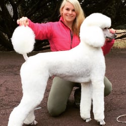 Classy Paws Mobile Pet Grooming