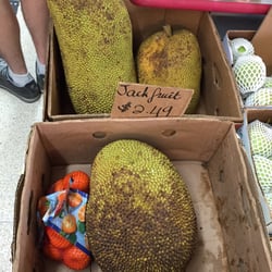 Enormous jack fruit