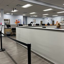 Biolife - Large space to sign in
