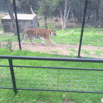 Austin Zoo - Zoos Near Me - Austin, Texas