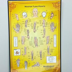 Acupuncture And Integrative Medical Center - Fascinating knowledge we should ALL learn.