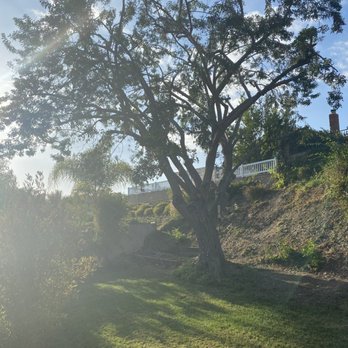 Fnl Landscaping - After - Landscaping Near Me - Costa Mesa, California
