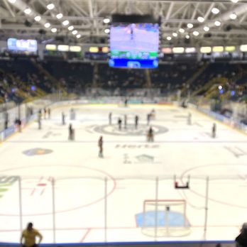 Florida Everblades - Activities involving spectacular participation - Professional Sports Teams Near Me - Estero, Florida