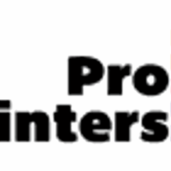 Pro Painters - Logo
