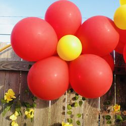 Bloom party rentals & Decor
