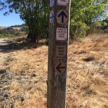 Upper San Leandro Reservoir - Signage was great! The little lizard was being bashful - Hiking Near Me - Moraga, California Upper San Leandro Reservoir - Signage was great! The little lizard was being bashful - Hiking Near Me - Moraga, California