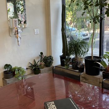 Bótani Cafè - Coffee & Tea Near Me - Brooklyn, New York