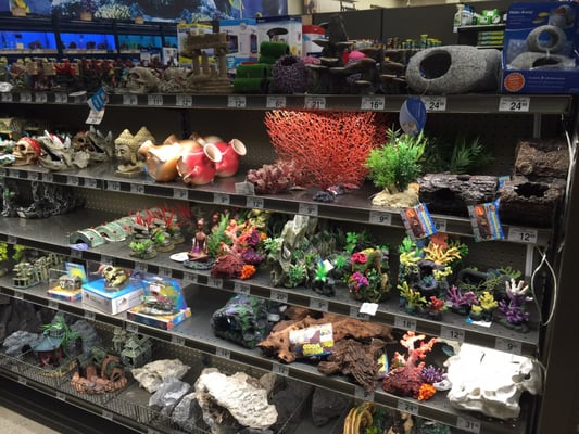 Petco