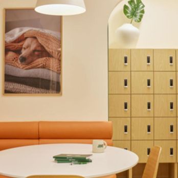 Juno Veterinary - Break time! - Veterinarians Near Me - Toronto, Ontario