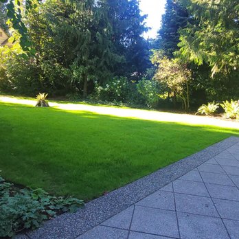 Sunglow Maple Landscaping Services - Call For Details - Landscaping Near Me Sunglow Maple Landscaping Services - Call For Details - Landscaping Near Me