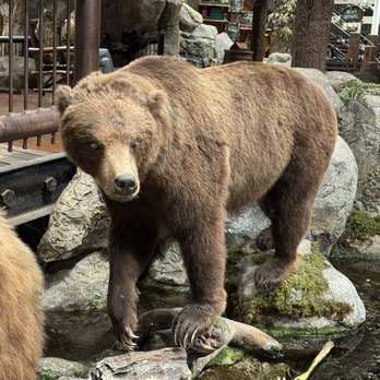 Bass Pro Shops - Guns & Ammo Near Me - Rancho Cucamonga, California Bass Pro Shops - Guns & Ammo Near Me - Rancho Cucamonga, California