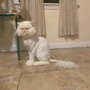 Photo of Lovable Pets Spa