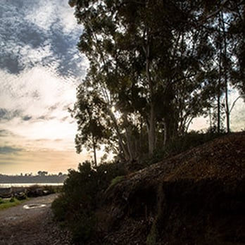 Batiquitos Lagoon Foundation - Community Service/Non-Profit Near Me - Carlsbad, California