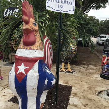 Miami Culinary Tours - More Roosters - Food Tours Near Me - Miami Beach, Florida Miami Culinary Tours - More Roosters - Food Tours Near Me - Miami Beach, Florida