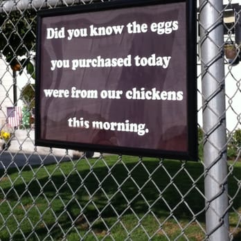 Billy's Egg Farm - ; ) - Specialty Food Near Me - Chino, California Billy's Egg Farm - ; ) - Specialty Food Near Me - Chino, California