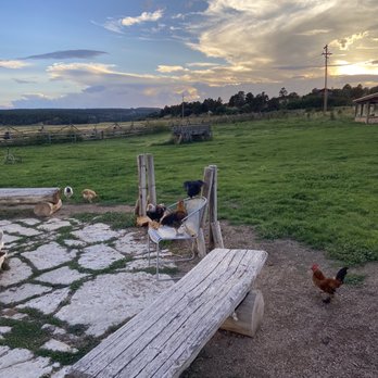 Zion Mountain Ranch - Chickens running around near lobby and restauraunt - Guest Houses Near Me - Mount Carmel, Utah