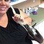 Double A Veterinary Hospital