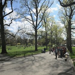 Bronx Park