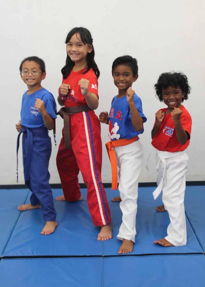 Trad Am Karate Logo