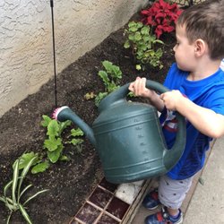 First Step Day Care