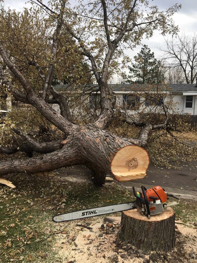 Walsh Tree Service - tree service in Sioux Falls, SD