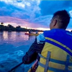Bioluminescence Tours