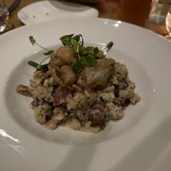 Local 1794 - Mushroom risotto