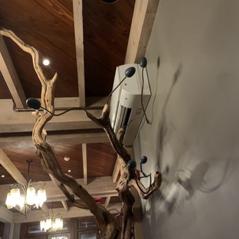 Mistral - Cool tree atmosphere - Tapas/Small Plates Near Me - Princeton, New Jersey