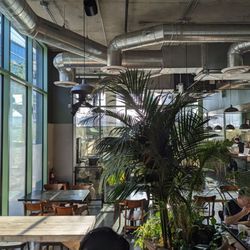 Mizlala Sycamore - Indoor area is a bit blah, sort of like a generic college