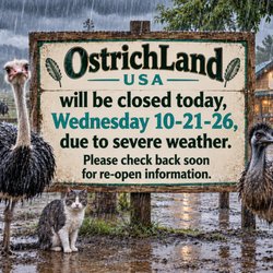 Ostrichland USA - Stay Safe