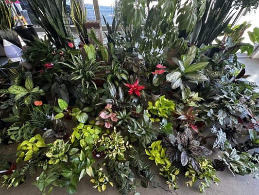 Public Land Store by null