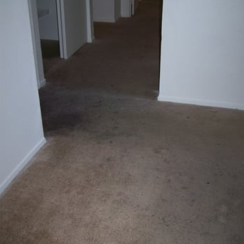 Robin'son Steamer - Carpet Cleaning Near Me - Henderson, Nevada Robin'son Steamer - Carpet Cleaning Near Me - Henderson, Nevada