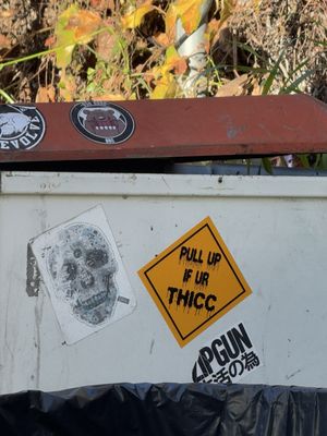 Bang Bang Noodles by null