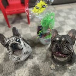 Dog Lovers Grooming
