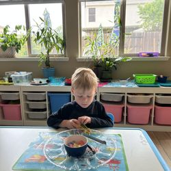 Lincoln Learning Center Preschool - Sorting and Learning: Montessori Preschoolers Sharpen Their Minds with Sorting.