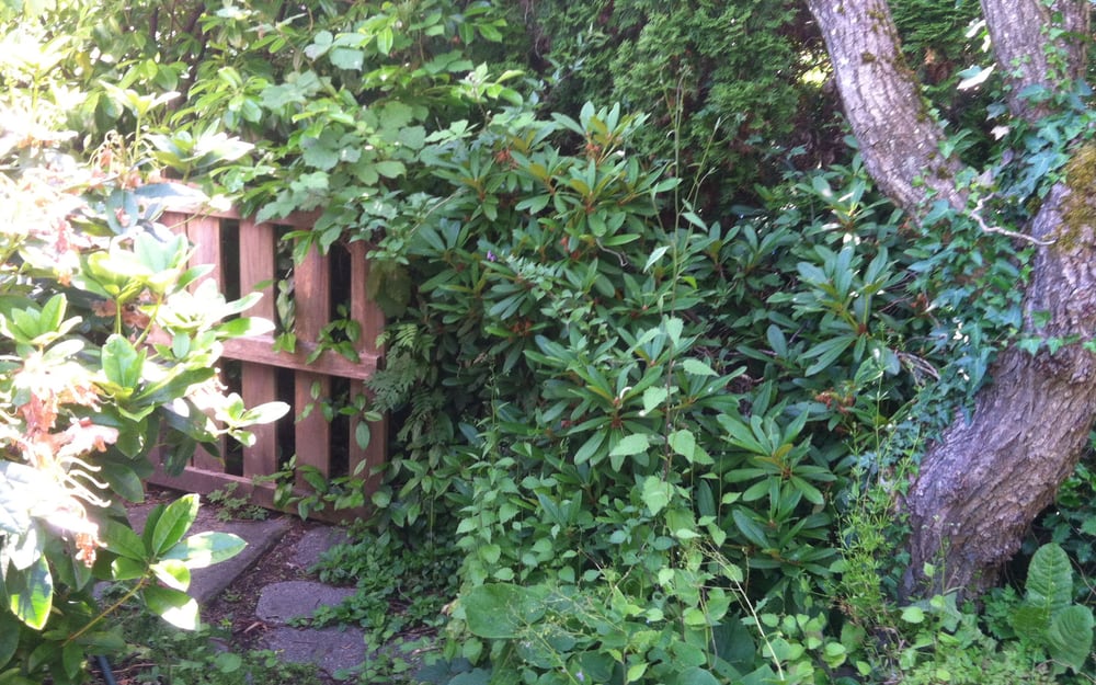 Winding Willow School - childcare center in Shoreline, WA